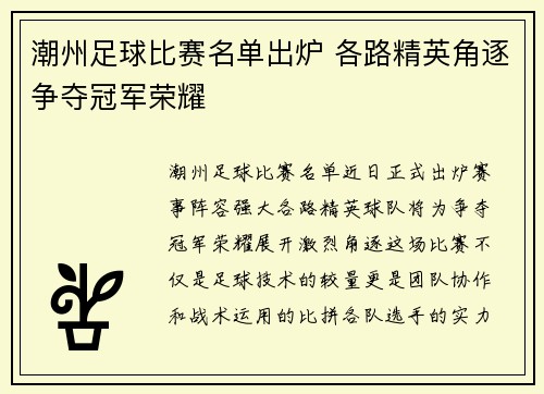 潮州足球比赛名单出炉 各路精英角逐争夺冠军荣耀
