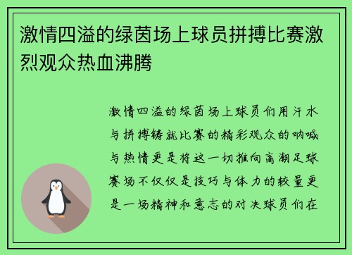 激情四溢的绿茵场上球员拼搏比赛激烈观众热血沸腾