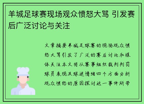 羊城足球赛现场观众愤怒大骂 引发赛后广泛讨论与关注
