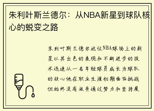 朱利叶斯兰德尔：从NBA新星到球队核心的蜕变之路